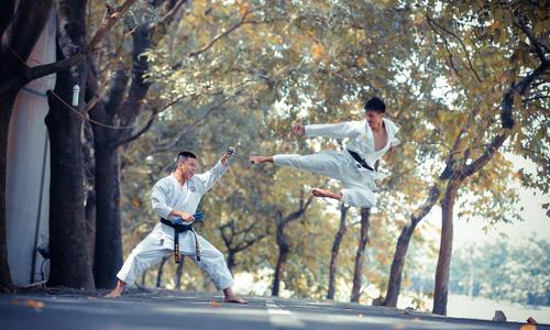 featured image thumbnail for post Tang Soo Do